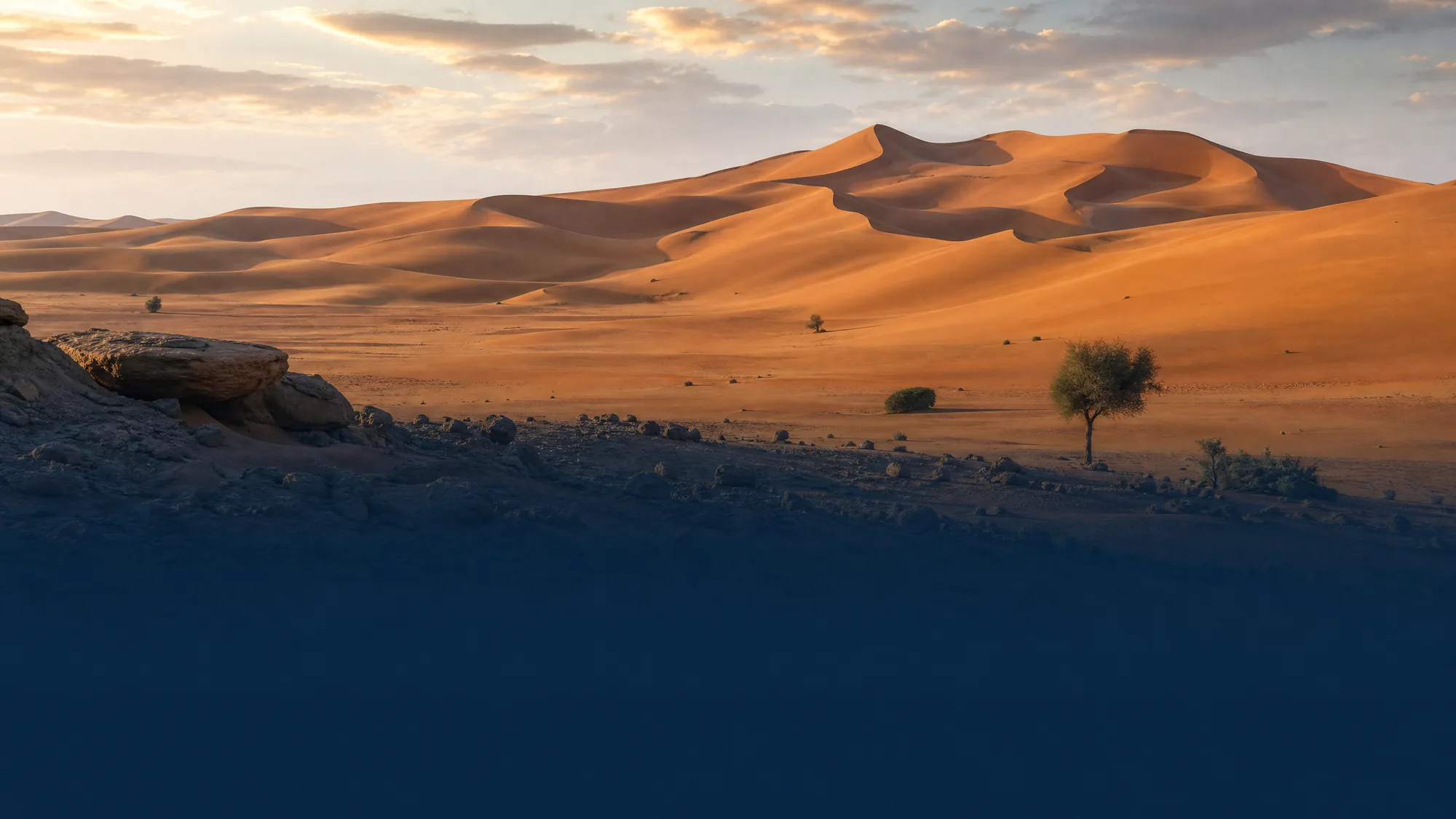 Explora un desierto de 12,500 kilómetros cuadrados en el este de Omán. Recorre dunas de arena de 100 metros, alójate en campamentos tradicionales y desplázate por el terreno en un vehículo 4x4.