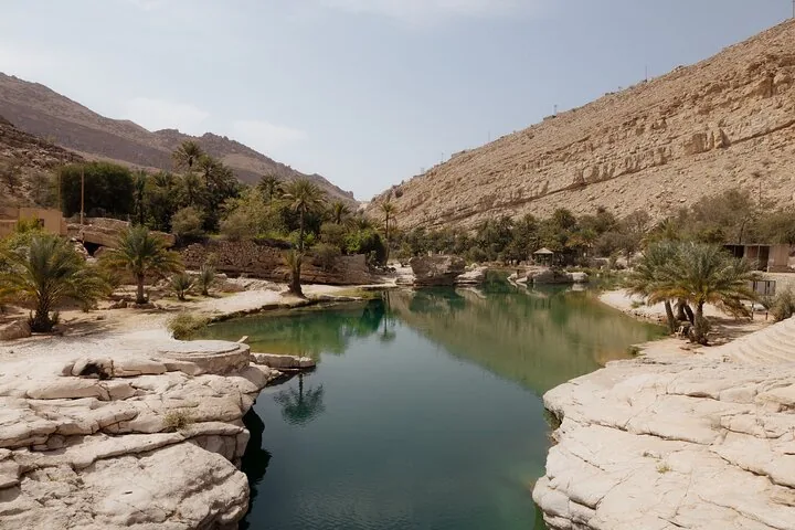 A green oasis with water surrounded by palm trees in a rocky gorge.