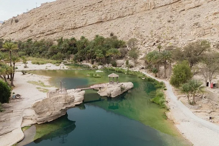 Vista aérea de una poza verde en un wadi rodeada de palmeras datileras.
